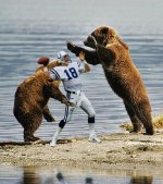 peyton-manning-attacked-funny-bears.jpg