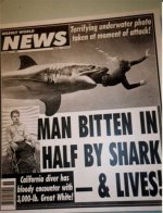 Shark eats man article