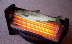 fish+on+a+heater.bmp.jpg