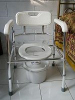 toilet_chair.jpg