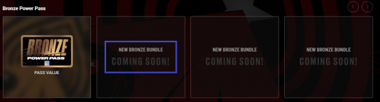 Bronze Bundle