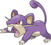 rattata.jpg