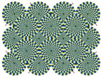 583_illusion.jpg