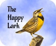 Happy lark