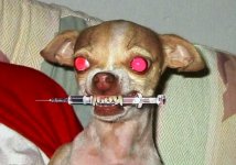 RedEyedPupNeedle.jpg